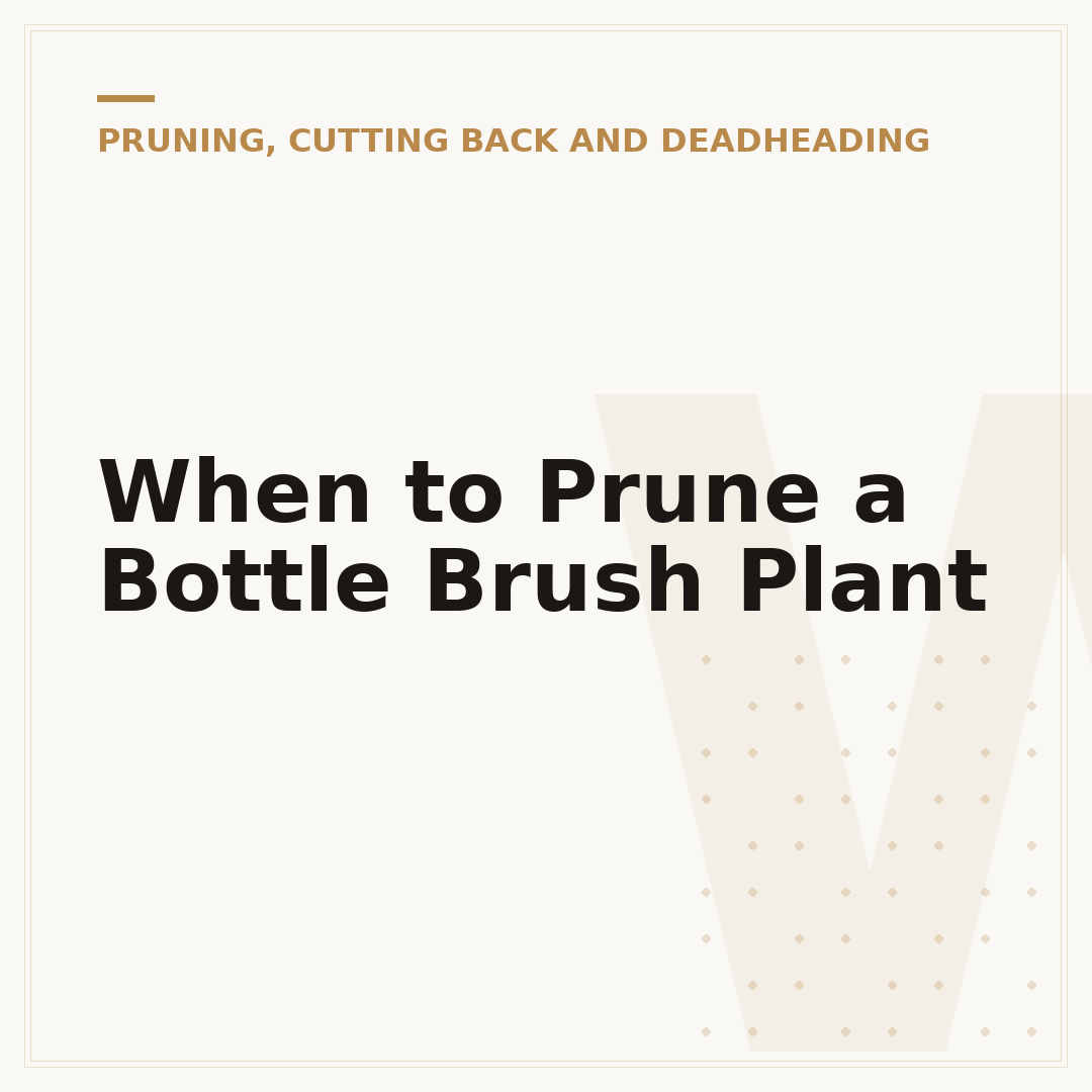 When to Prune a Bottle Brush Plant