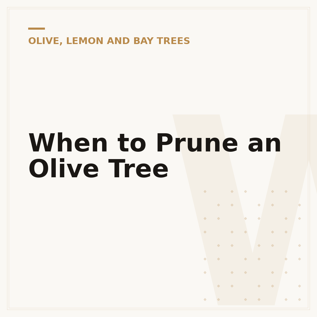 When to Prune an Olive Tree