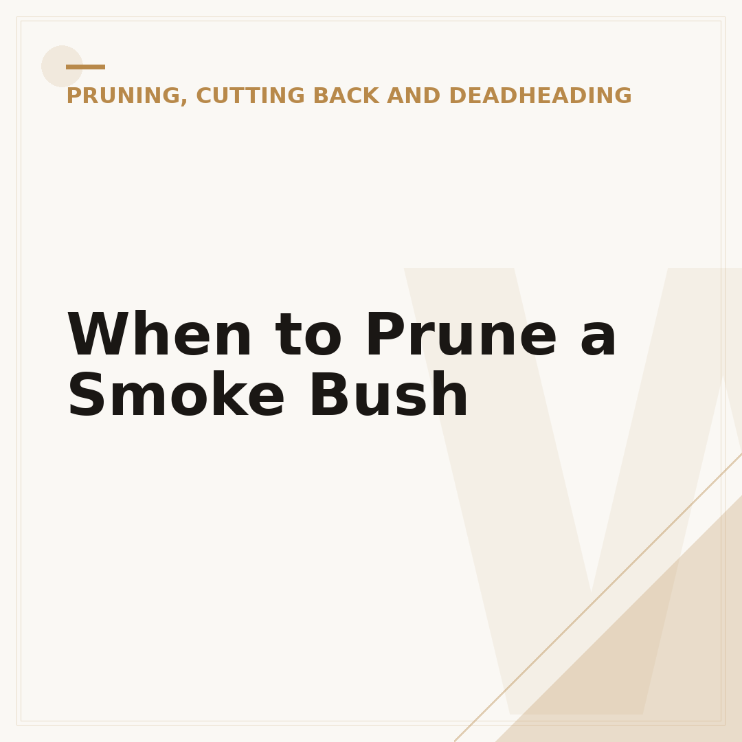 When to Prune a Smoke Bush