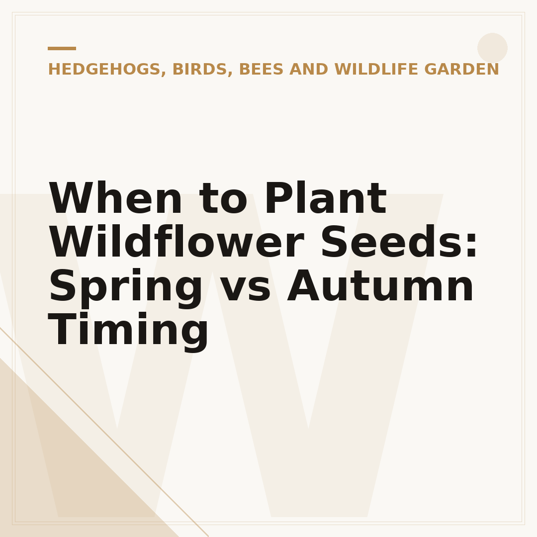 When to Plant Wildflower Seeds: Spring vs Autumn Timing