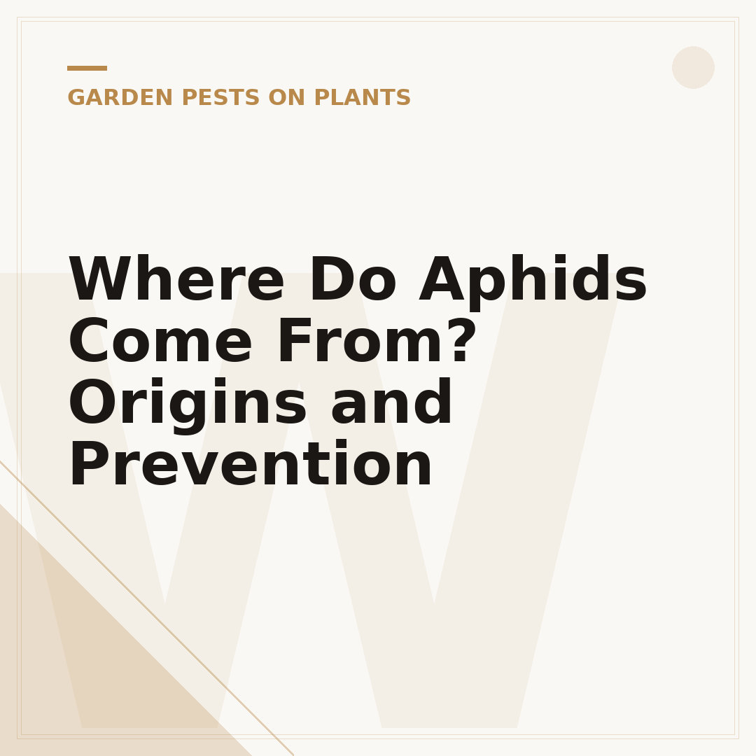 Where Do Aphids Come From? Origins and Prevention