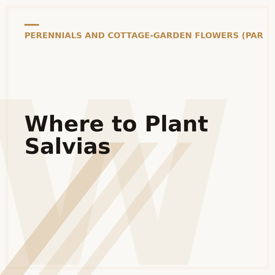 Where to Plant Salvias
