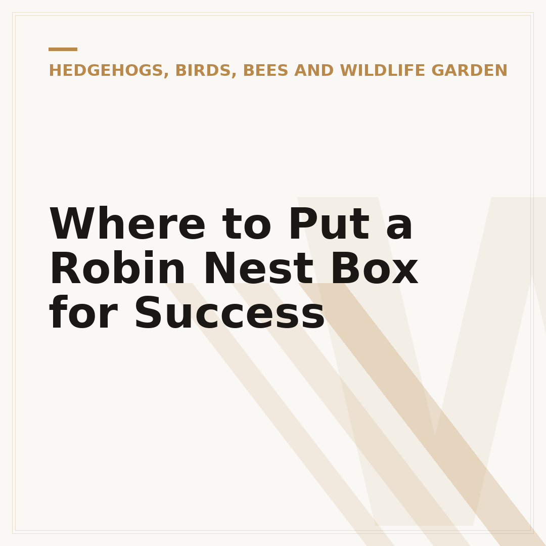 Where to Put a Robin Nest Box for Success