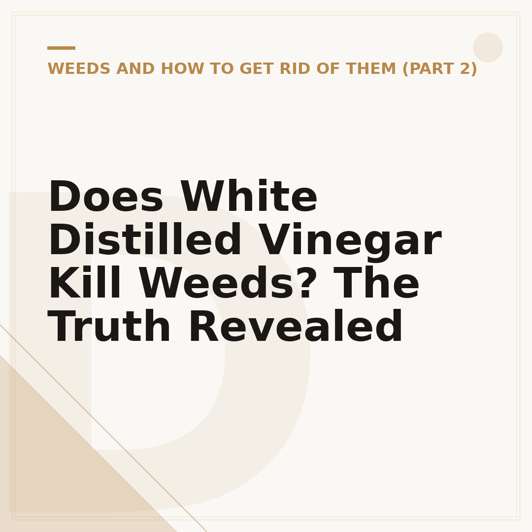 Does White Distilled Vinegar Kill Weeds? The Truth Revealed