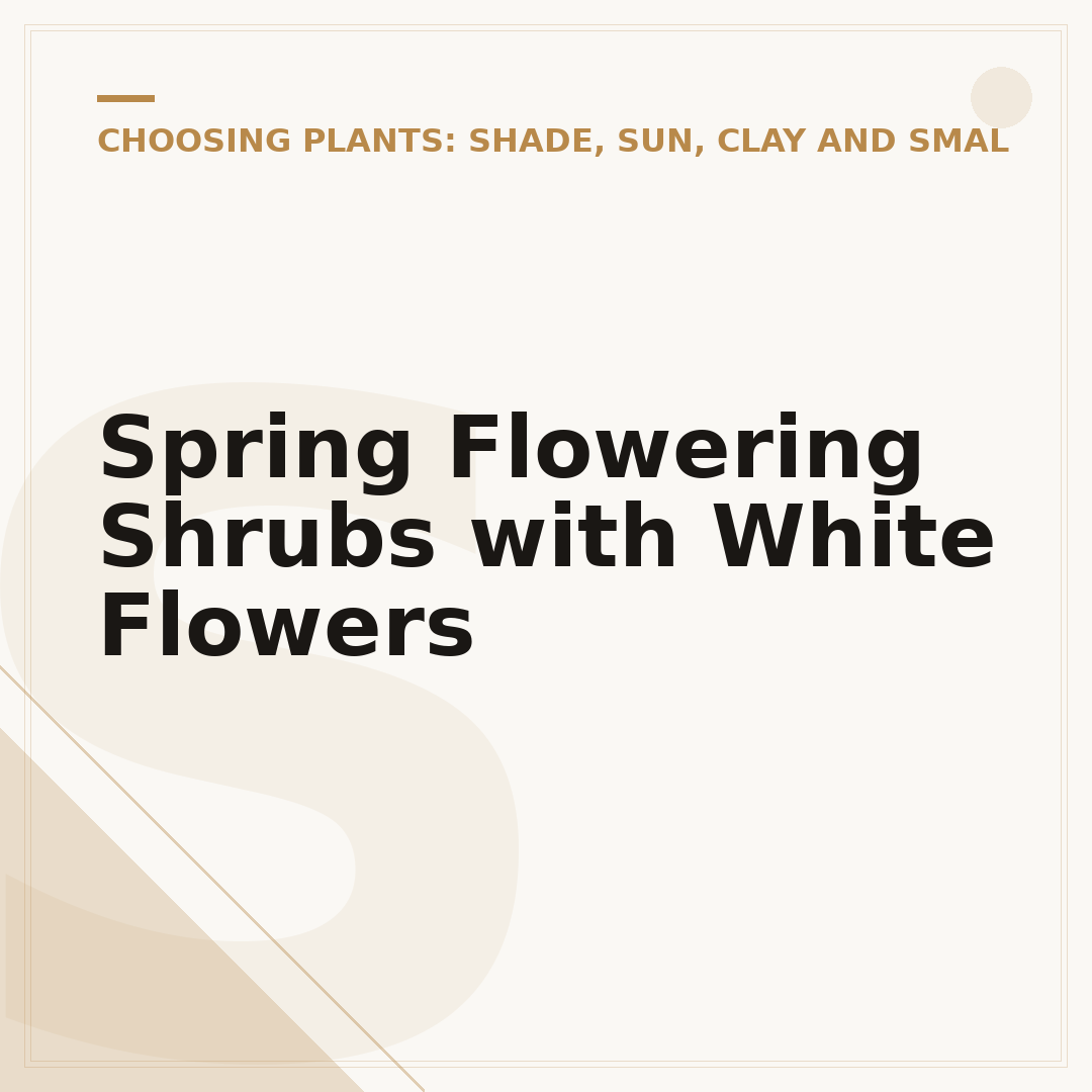 Spring Flowering Shrubs with White Flowers