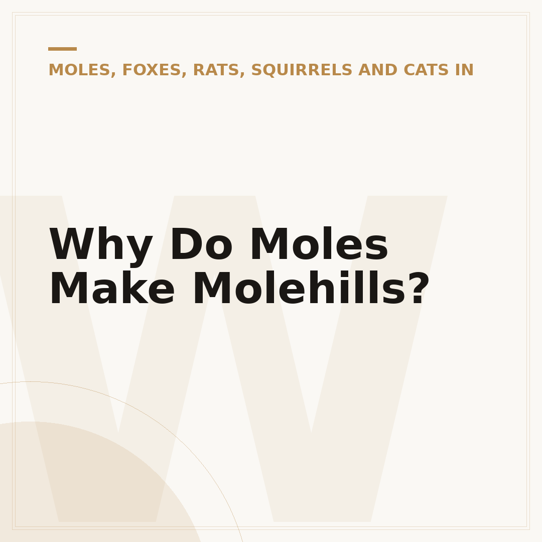 Why Do Moles Make Molehills?