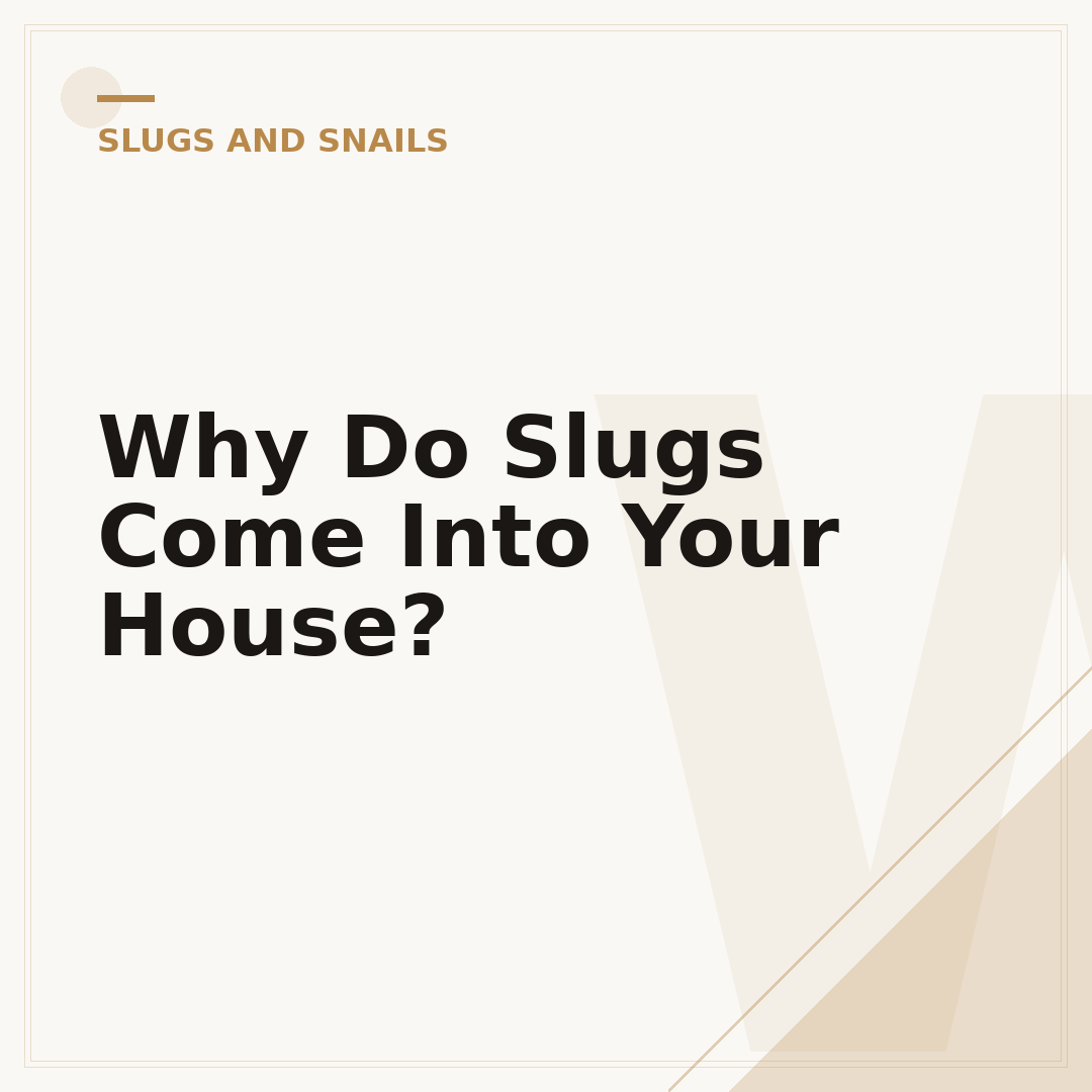 Why Do Slugs Come Into Your House?