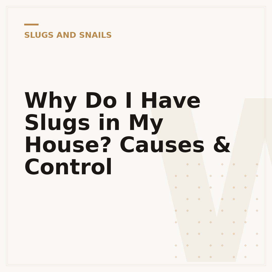 Why Do I Have Slugs in My House? Causes & Control