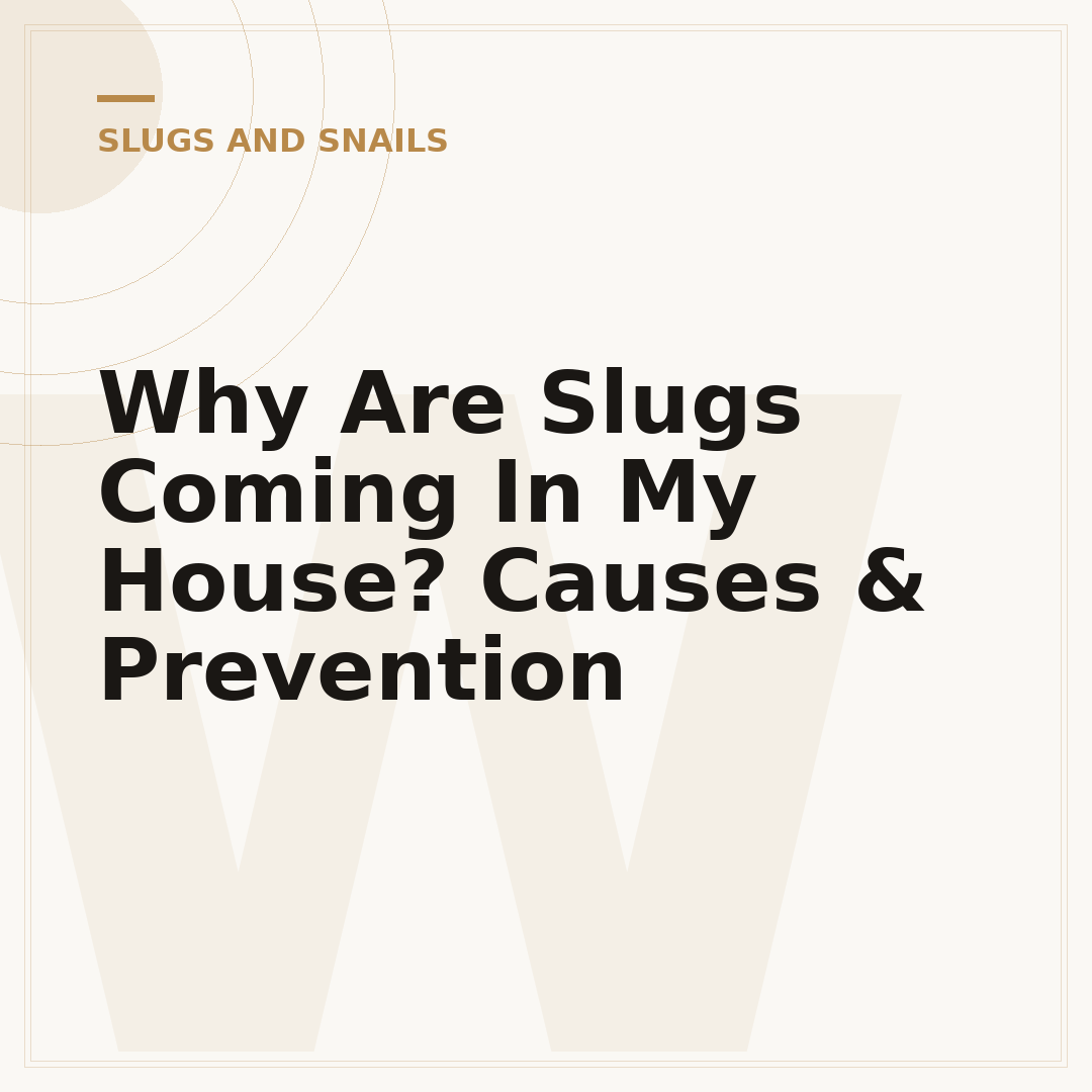 Why Are Slugs Coming In My House? Causes & Prevention