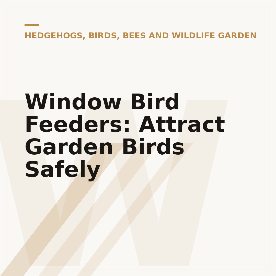 Window Bird Feeders: Attract Garden Birds Safely