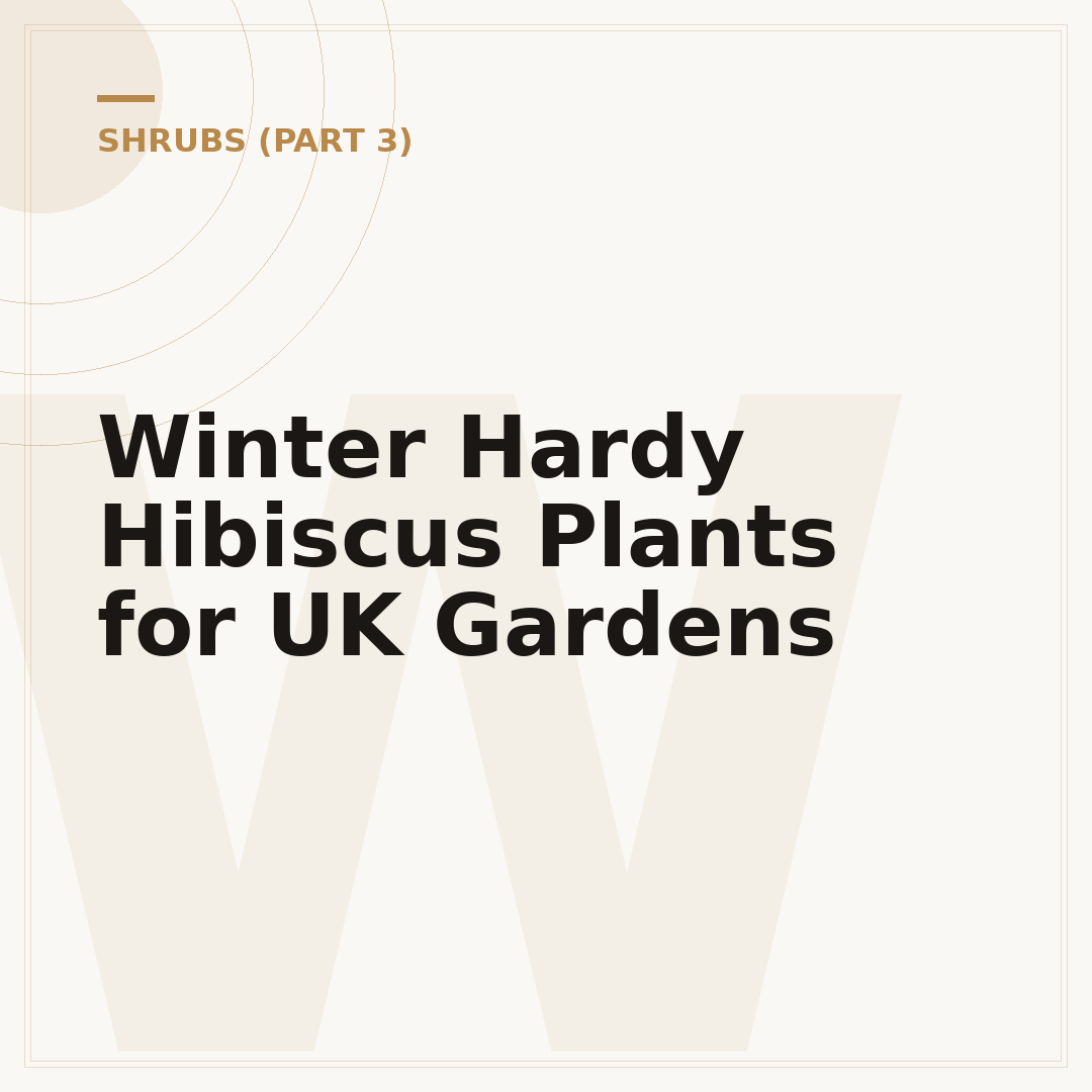 Winter Hardy Hibiscus Plants for UK Gardens