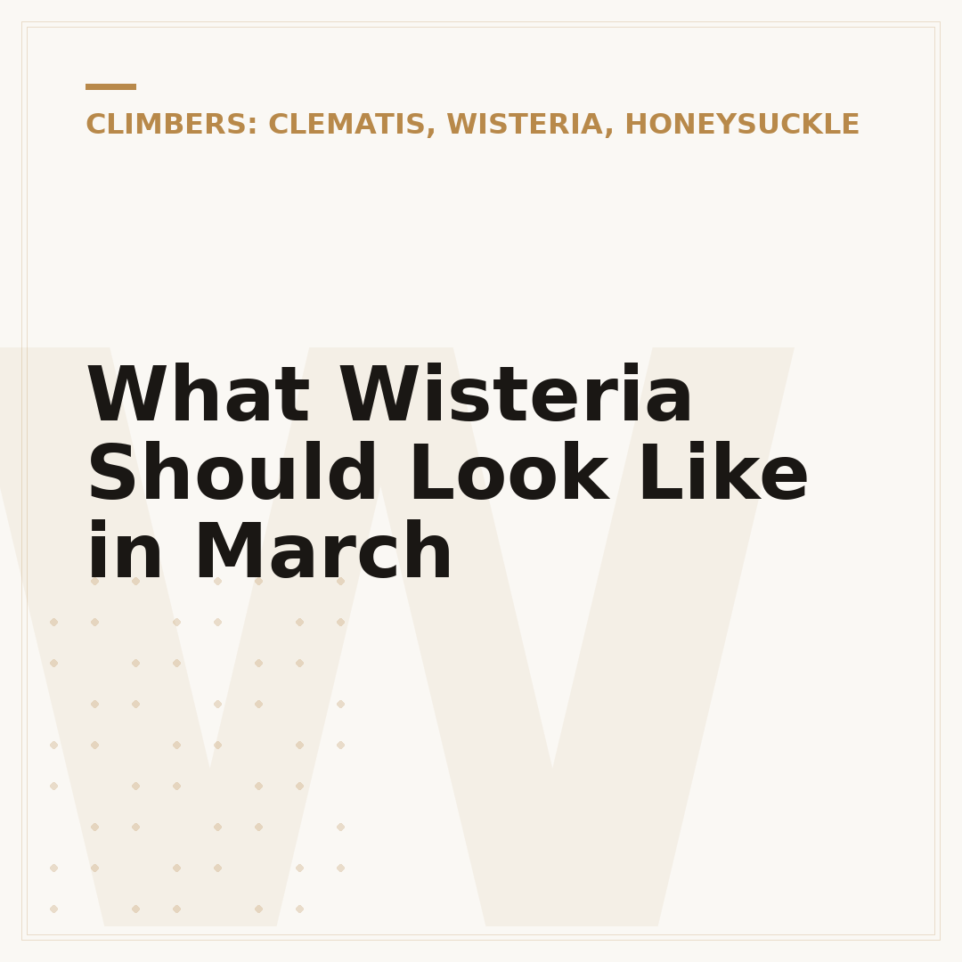 What Wisteria Should Look Like in March