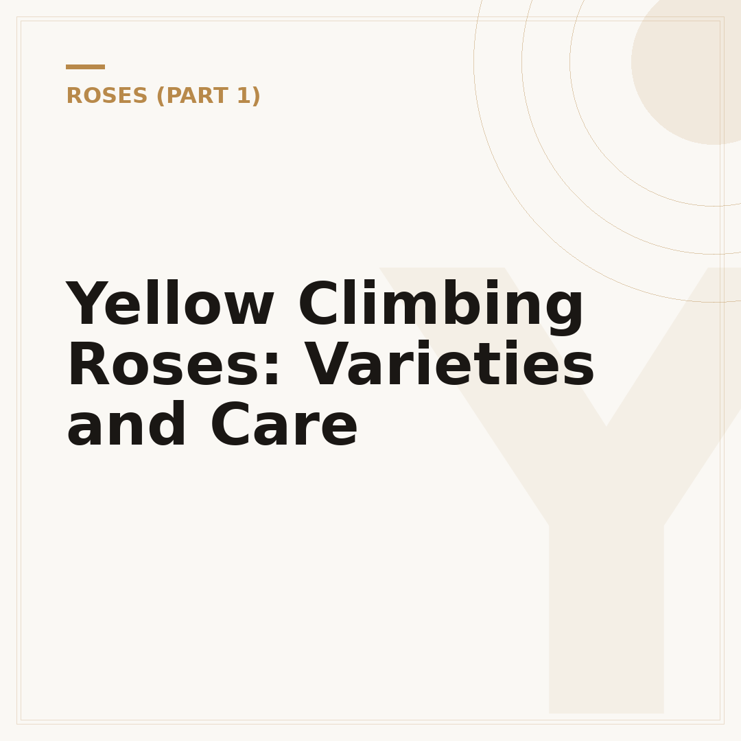 Yellow Climbing Roses: Varieties and Care