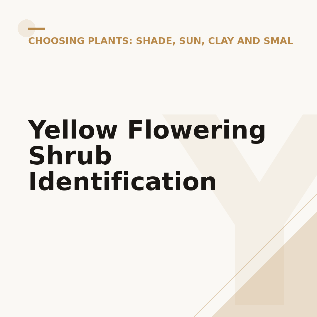 Yellow Flowering Shrub Identification