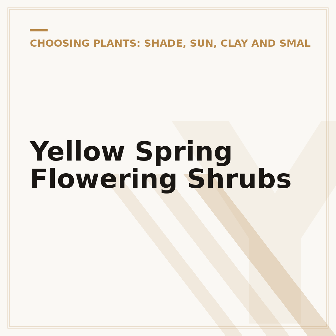 Yellow Spring Flowering Shrubs