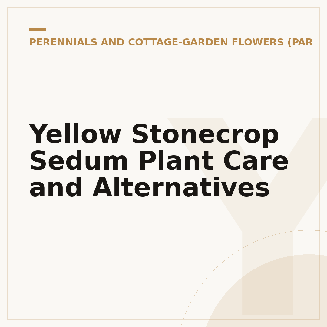Yellow Stonecrop Sedum Plant Care and Alternatives
